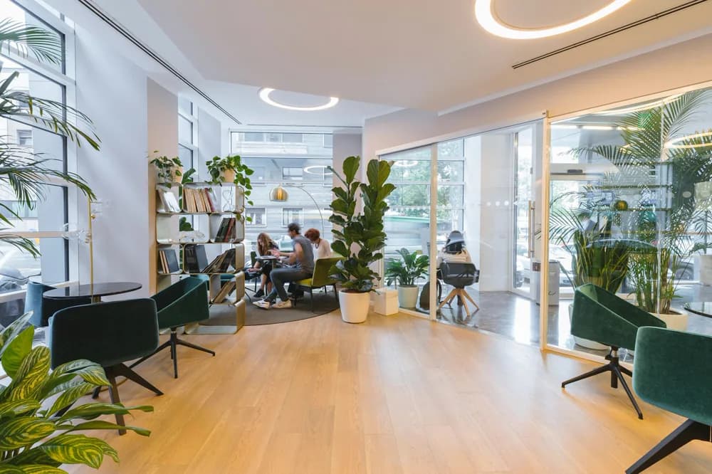 Bright open-plan office with plants